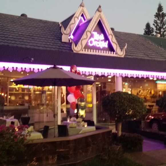 The Thai Orchid Restaurant | restaurant | 1898 Logan Rd, Upper Mount Gravatt QLD 4122, Australia | 0738496388 OR +61 7 3849 6388