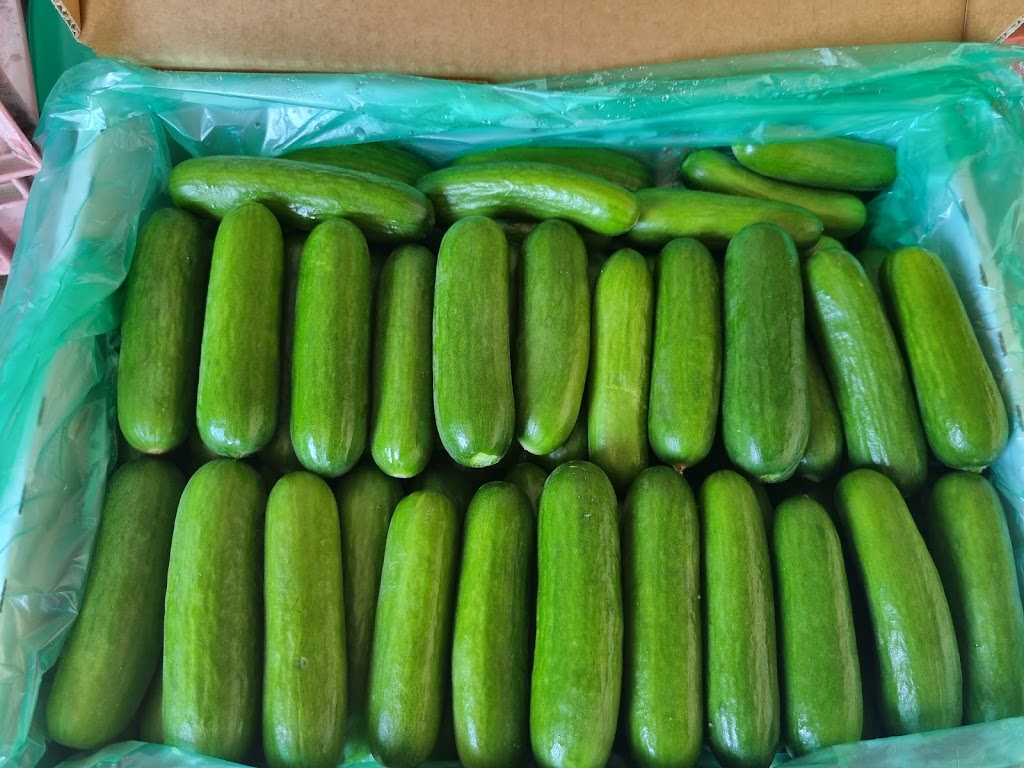 JEM Organics Farm | 108 Patrick Estate Rd, Patrick Estate QLD 4311, Australia | Phone: 0475 244 874