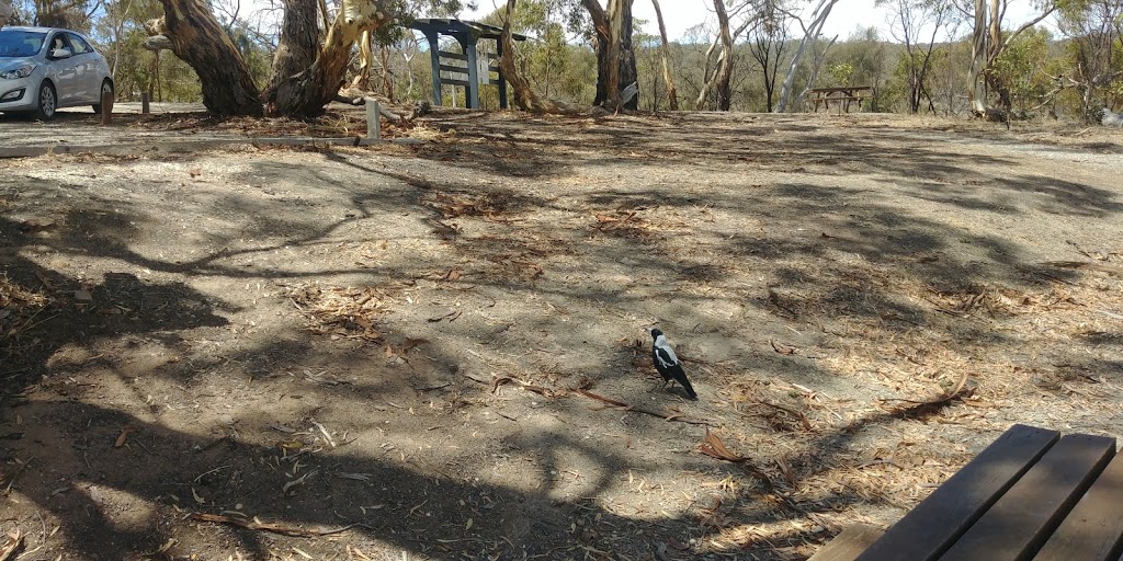 Spring Gully Conservation Park | park | Sawmill Rd, Sevenhill SA 5453, Australia