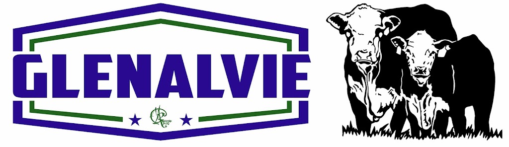 Glenalvie Poll Herefords | 928 River Rd, Ponto NSW 2818, Australia | Phone: 0428 650 651