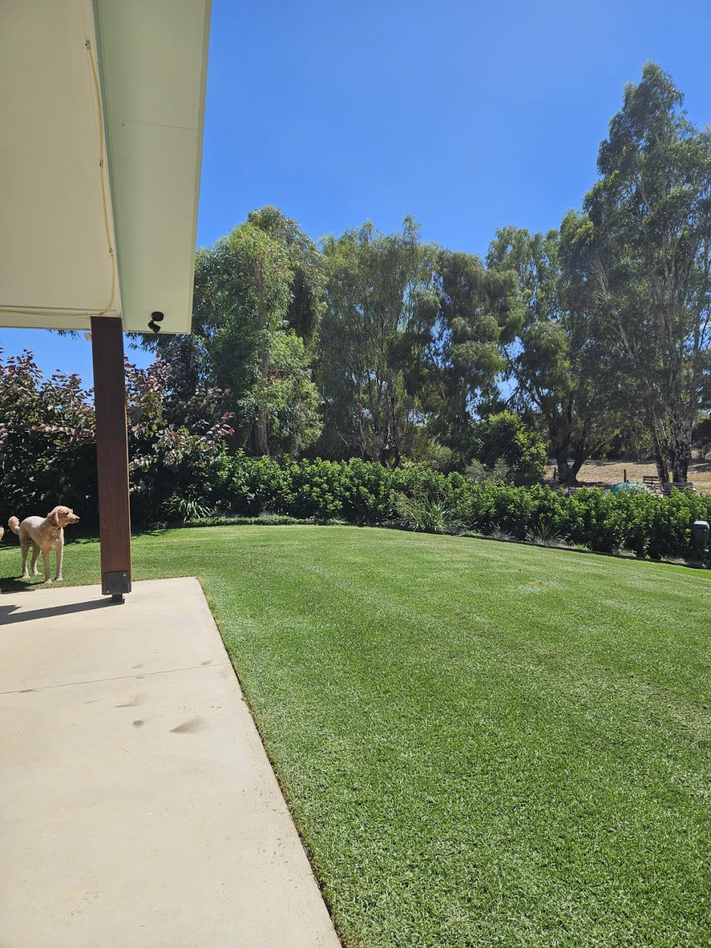 Apex Property and Garden Maintenance | 28 Manzanillo Ave, Moama NSW 2731, Australia | Phone: 0439 449 969