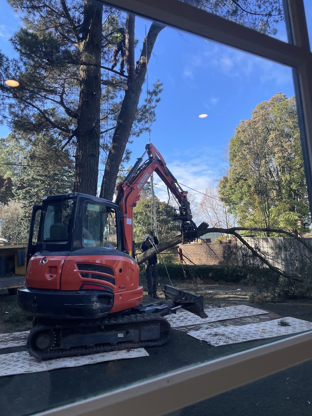 Next Step Tree Removals | 413 Monbulk Rd, Monbulk VIC 3793, Australia | Phone: 0455 331 045