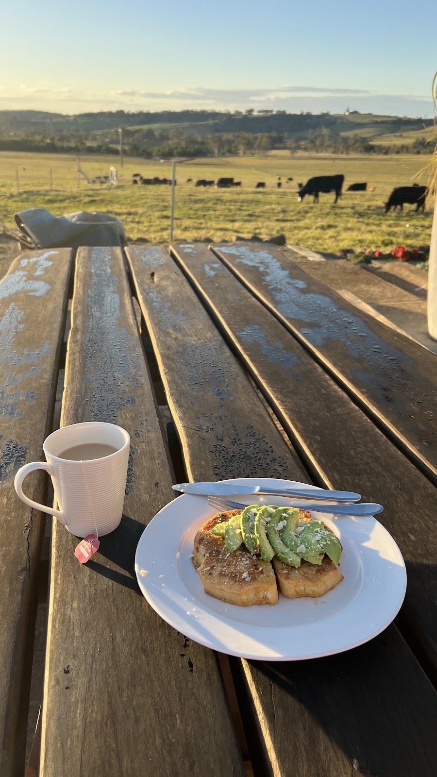 Mattana Farm | 143 Little Frst Rd, Little Forest NSW 2538, Australia | Phone: 0423 055 604