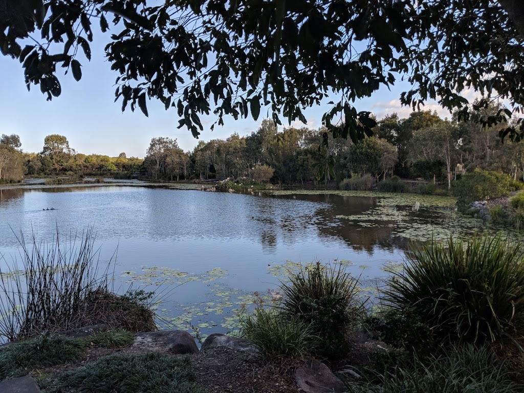 Canavan Gracie Recreational Park | park | Lomond Cres, Caloundra West QLD 4551, Australia