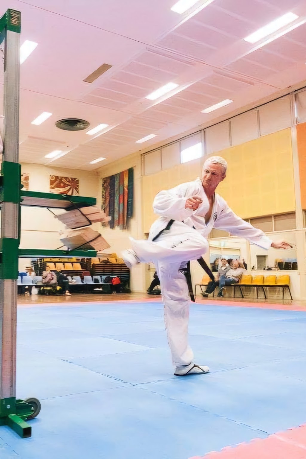 Harmonious Dojang Australia | 91 Grand Scenic Dr, Brookfield VIC 3338, Australia | Phone: 0447 964 456