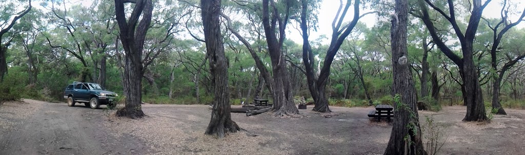 Point Road Campsite | Boranup WA 6286, Australia