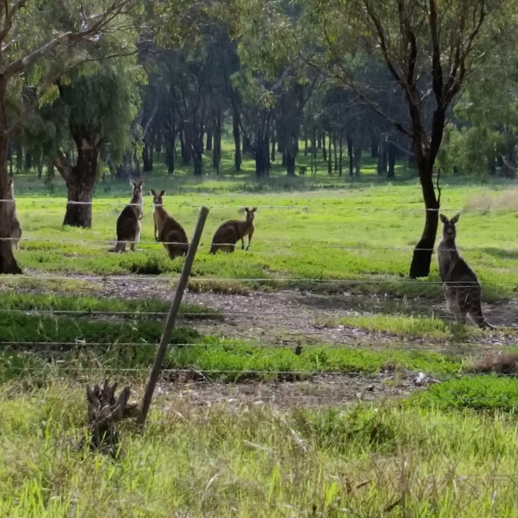 Emu Bottom | park | Emu Bottom Wetlands, Sunbury VIC 3429, Australia | 0397441222 OR +61 3 9744 1222