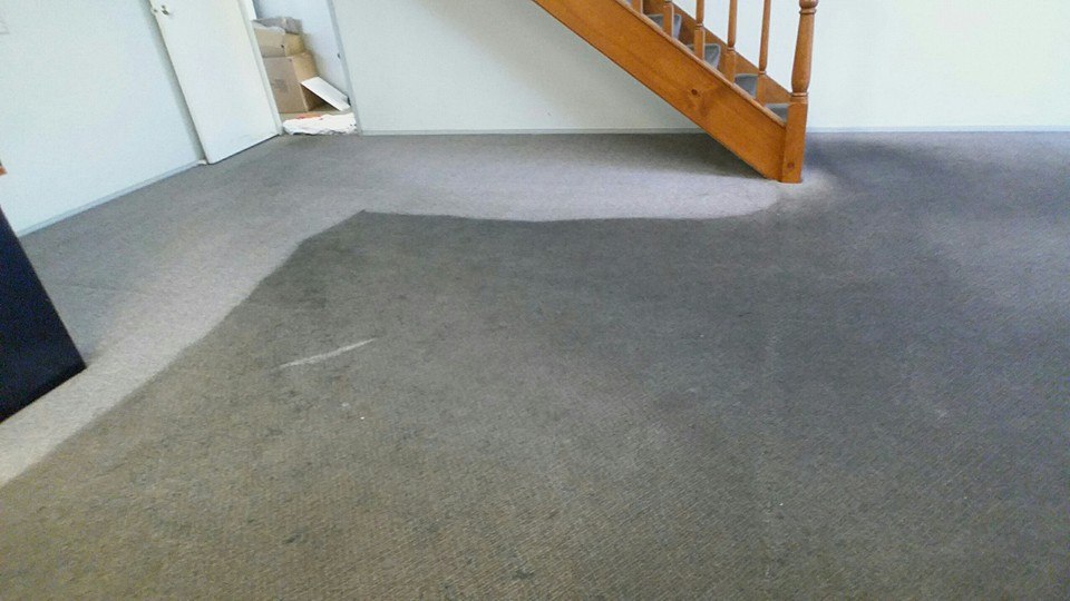 Xtreme Carpet and Tile Cleaning | 21 Ellaroo Circuit, Clyde North VIC 3978, Australia | Phone: 0412 503 321