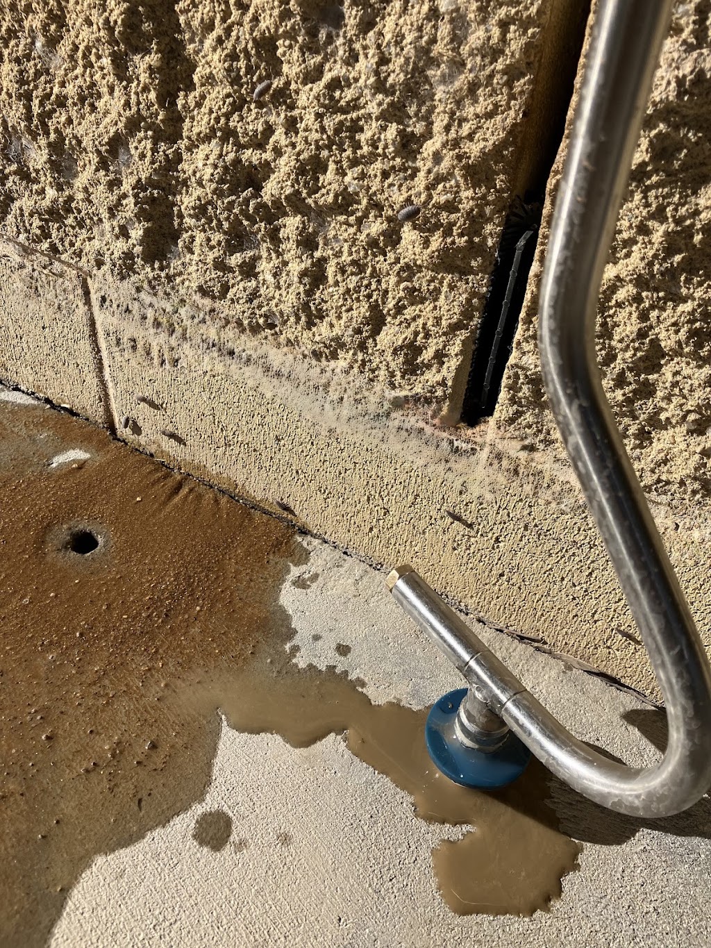 Borderline Pest Control | Victoria St, Deniliquin NSW 2710, Australia | Phone: 0448 104 521