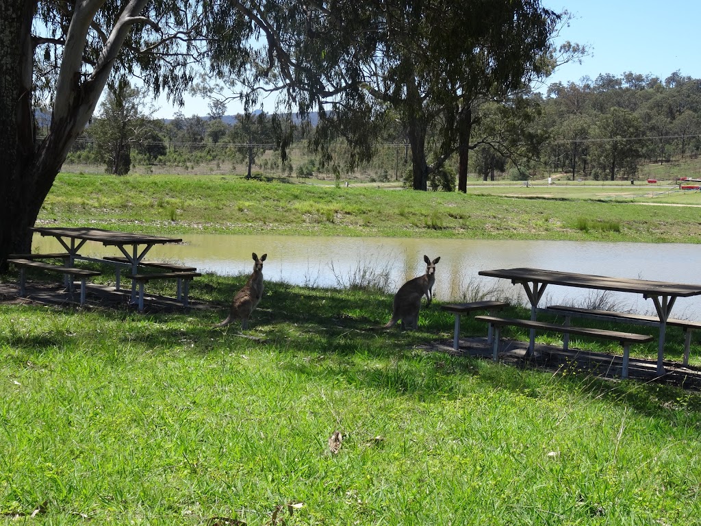 Queensland Moto Park | 110 Goan Rd, Coulson QLD 4310, Australia | Phone: (07) 5463 5015