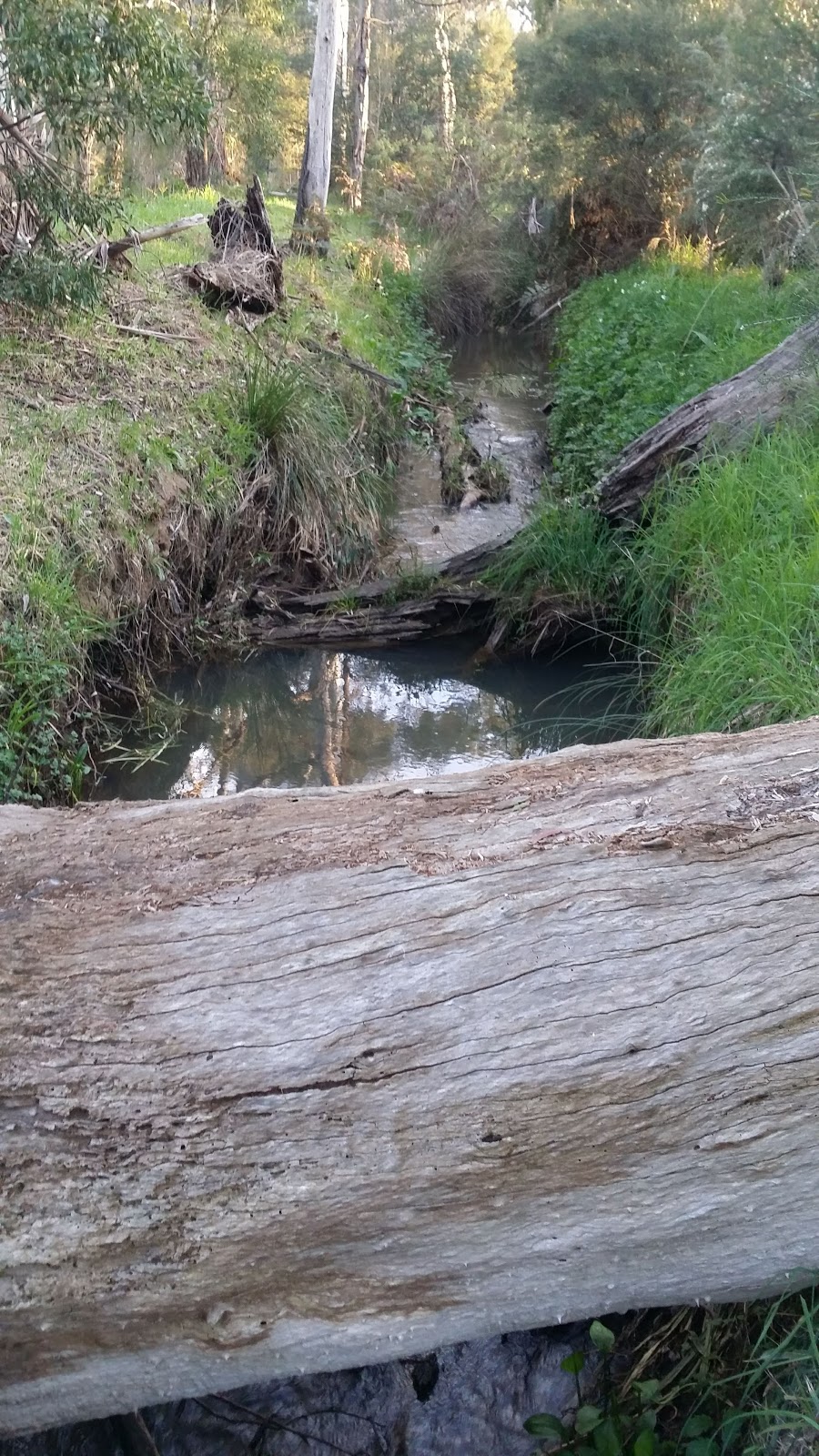 Wandin Yallock Creek Reserve | park | 40 Seymour St, Seville VIC 3139, Australia