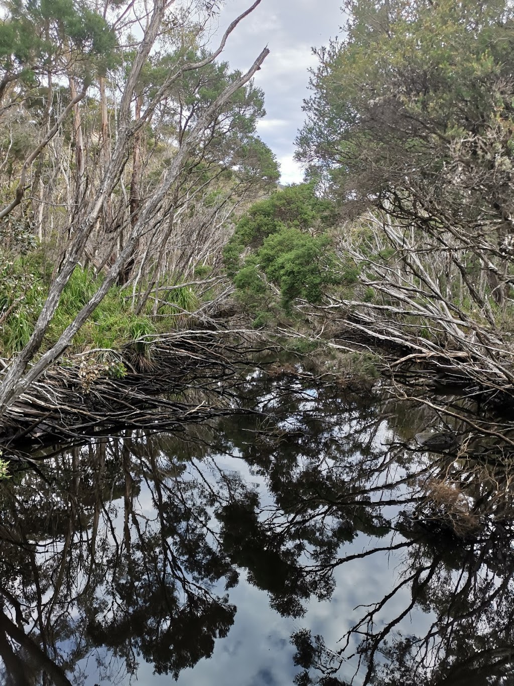 Sealers Cove | park | Wilsons Promontory VIC 3960, Australia