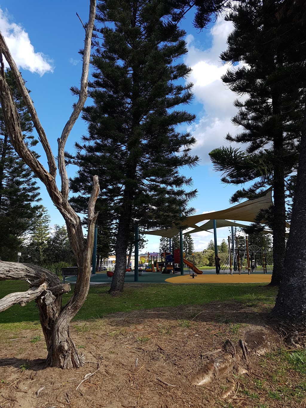 Apex Park | park | Seabeach Ave, Mona Vale NSW 2103, Australia