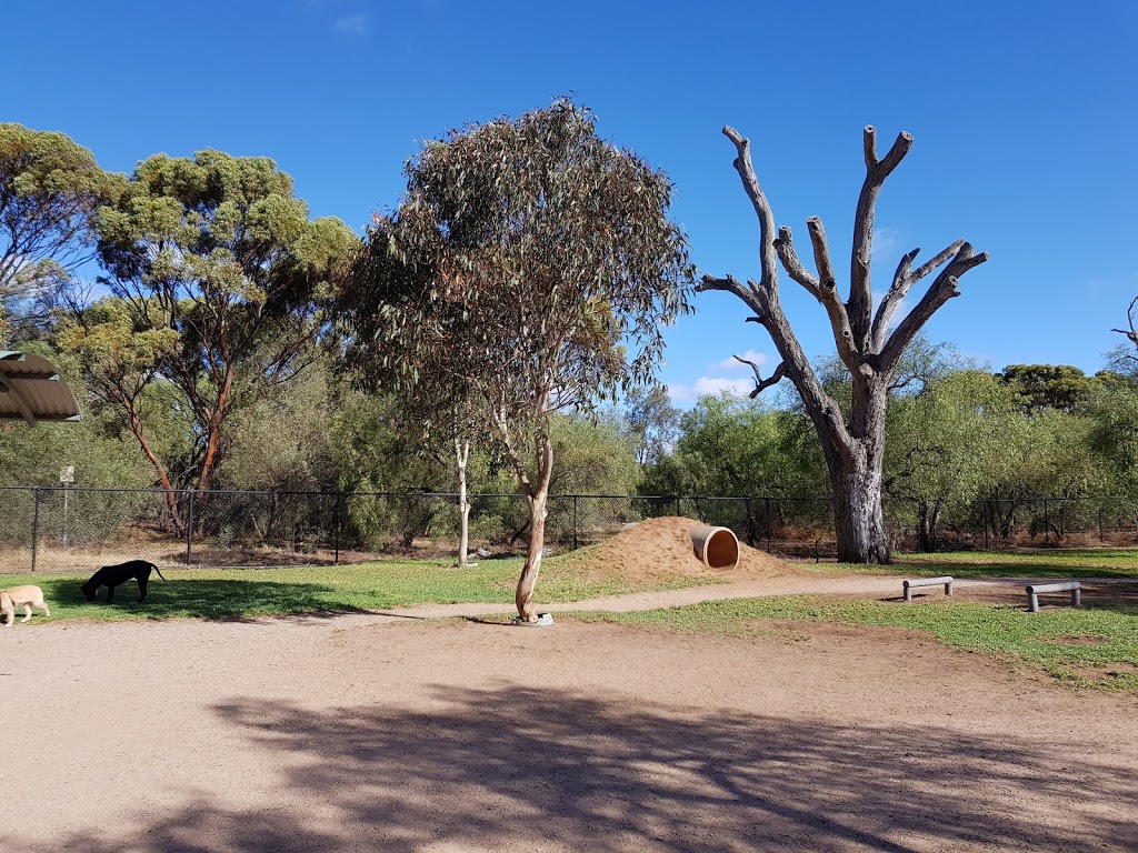 Mawson Lakes Dog Park | park | Dry Creek Linear Park, Park Way, Mawson Lakes SA 5095, Australia