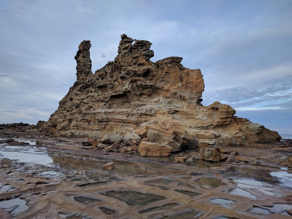 Bunurong Coastal Reserve | Victoria, Australia