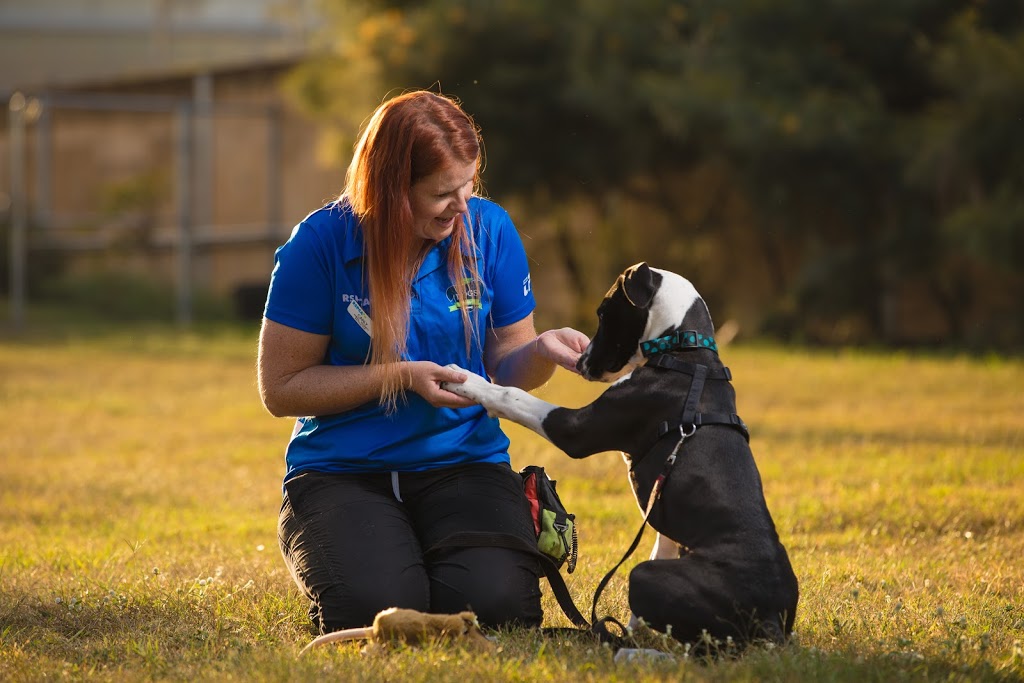 RSPCA School for Dogs - Wacol | 139 Wacol Station Rd, Wacol QLD 4076, Australia | Phone: 1300 790 224