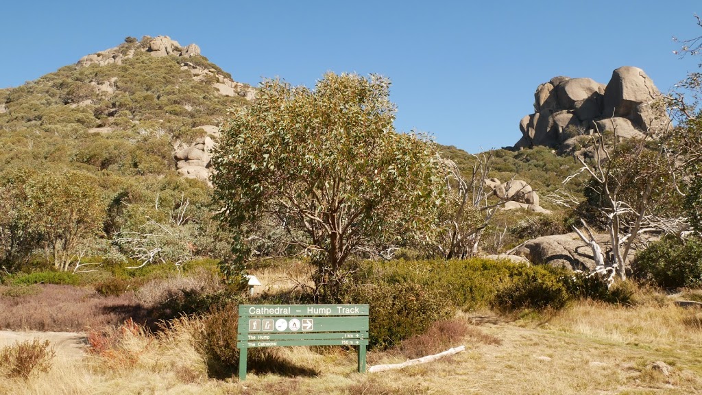 Cathedal & Hump Track | park | Mount Buffalo Rd, Mount Buffalo VIC 3740, Australia