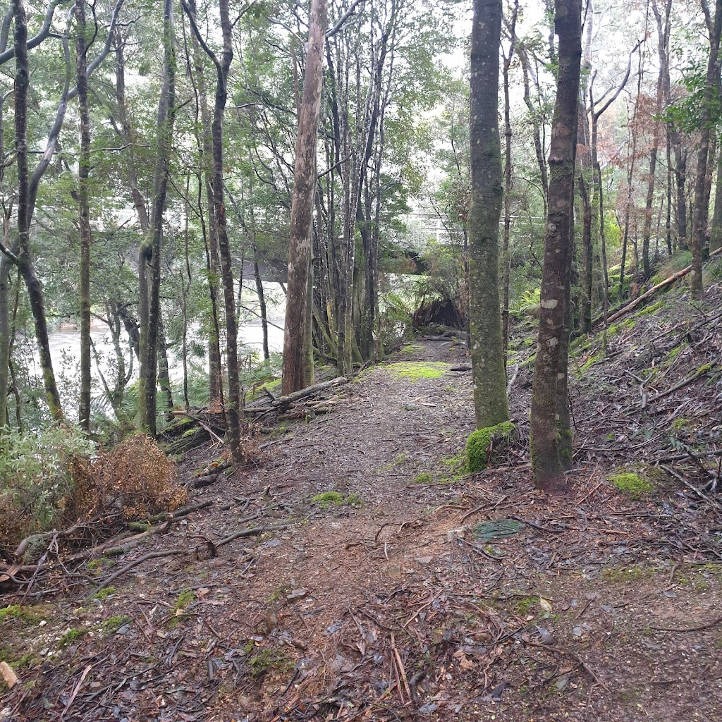 Kanunnah Bridge | tourist attraction | Sumac Rd, West Coast TAS 7330, Australia | 0364643014 OR +61 3 6464 3014