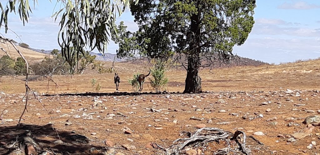 Rawnsly Bluff Car Park | Unnamed Road, Flinders Ranges SA 5434, Australia