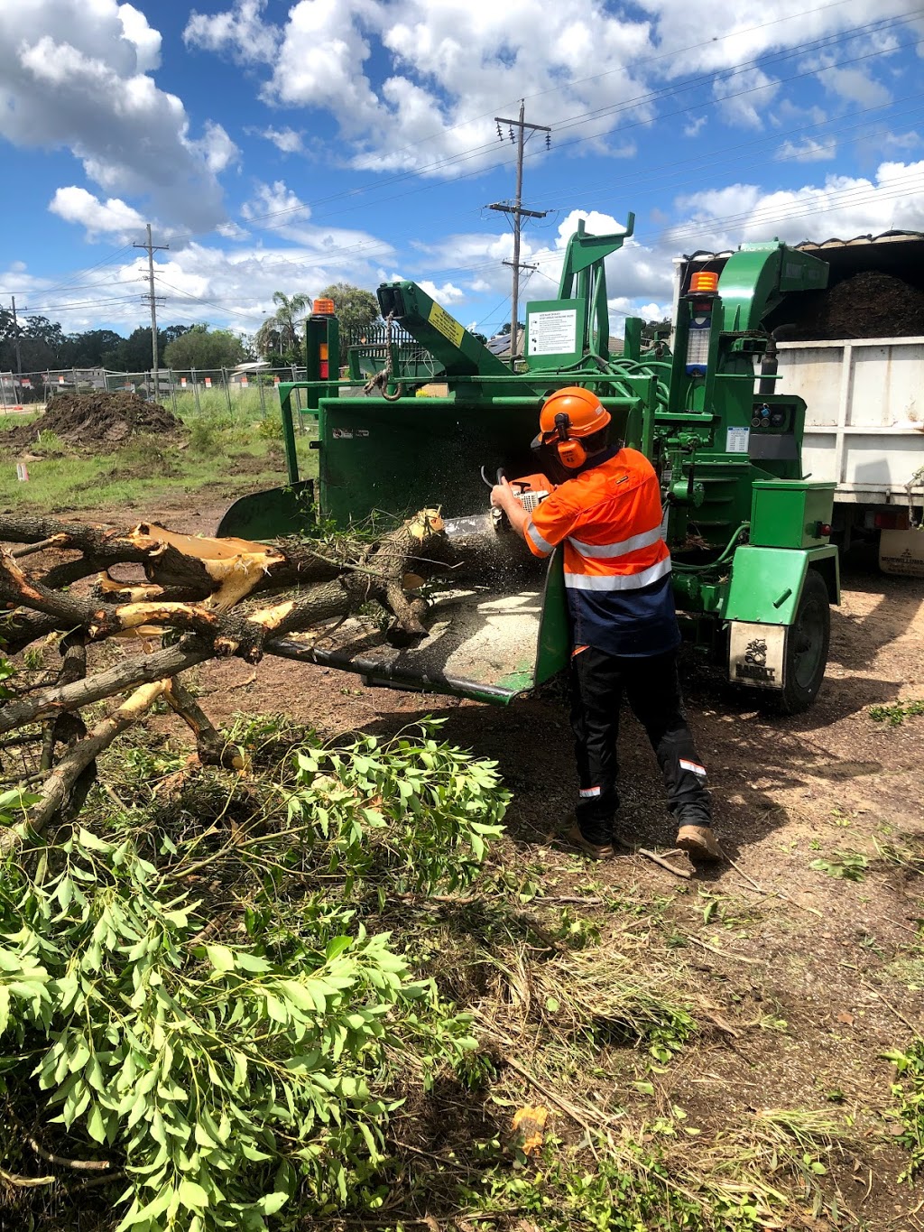 Beaus Tree Service | 9 Ginkers Way, Cooranbong NSW 2265, Australia | Phone: 0487 238 994