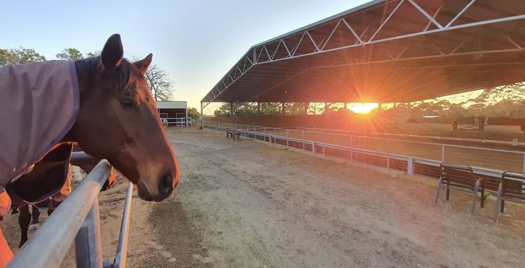 MC Equestrian Riding School | 90 Booralie Rd, Terrey Hills NSW 2084, Australia | Phone: 0433 247 247