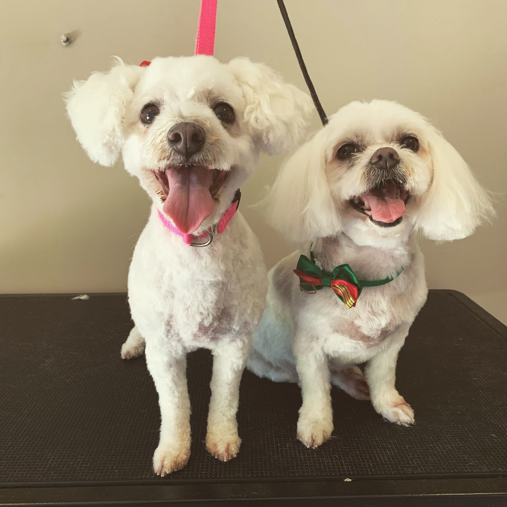 Classy K9s Boutique Spa | 29 Yeates St, Moranbah QLD 4744, Australia | Phone: 0431 253 757