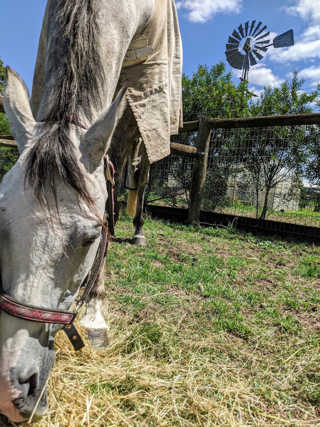 Ayr Hill Equestrian Centre | Gate 4/500 Soldiers Rd, Clyde North VIC 3978, Australia | Phone: 0411 055 790