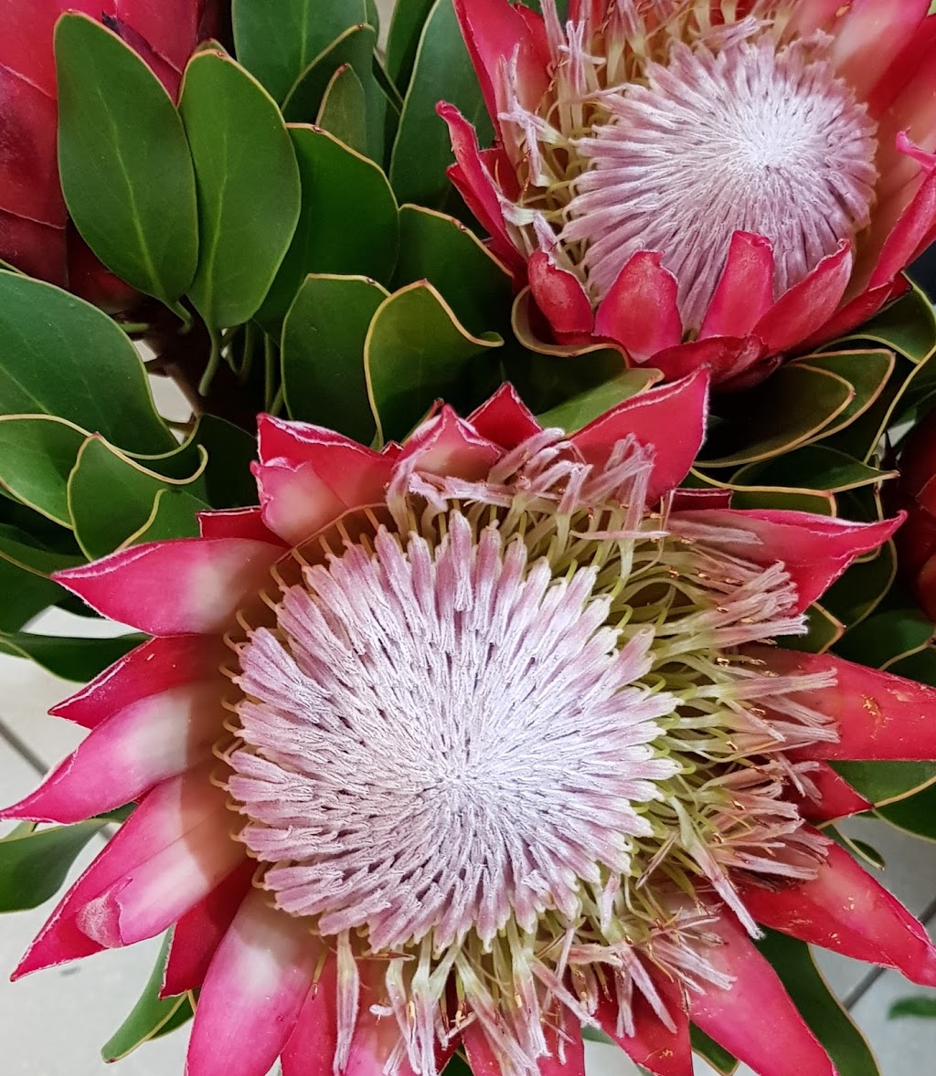 Lazy Flowers | florist | 1 Kadina Ct, Strathfieldsaye VIC 3551, Australia | 0354394143 OR +61 3 5439 4143