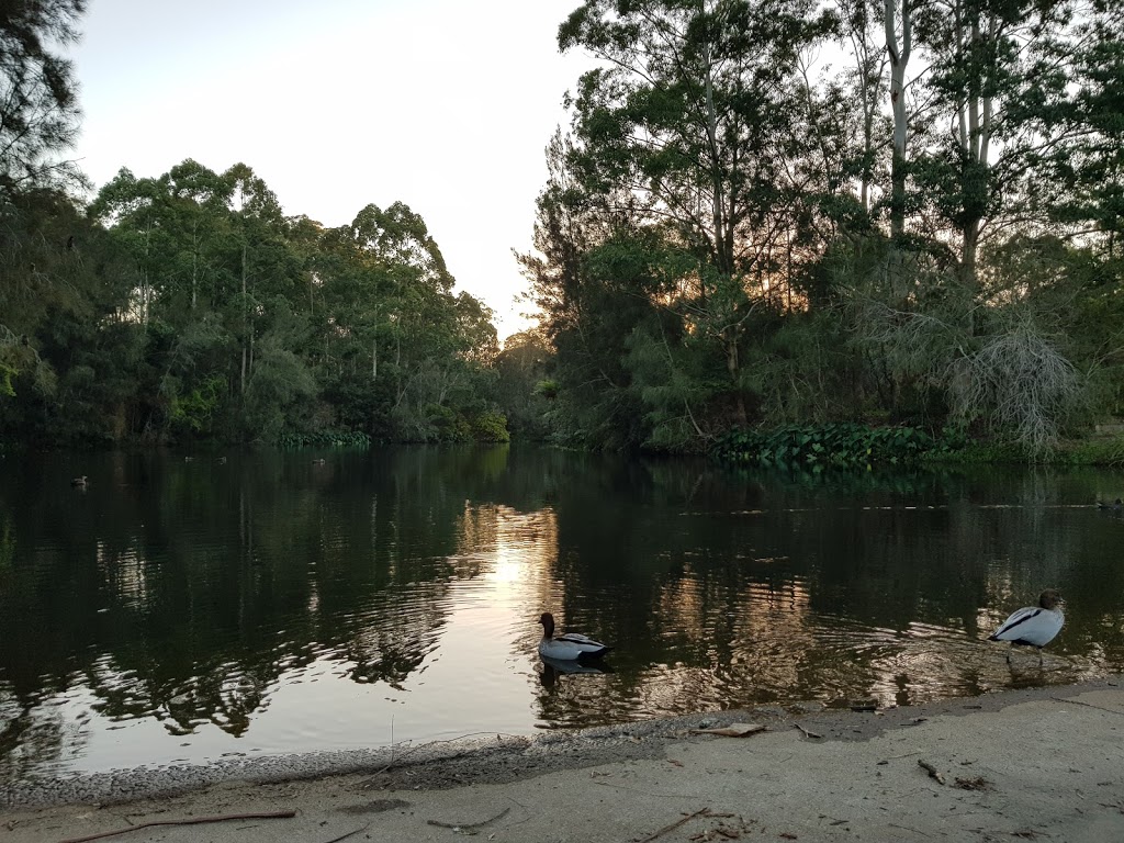 Lane Cove Weir | Max Allen Drive, Lindfield NSW 2070, Australia | Phone: (02) 8448 0400