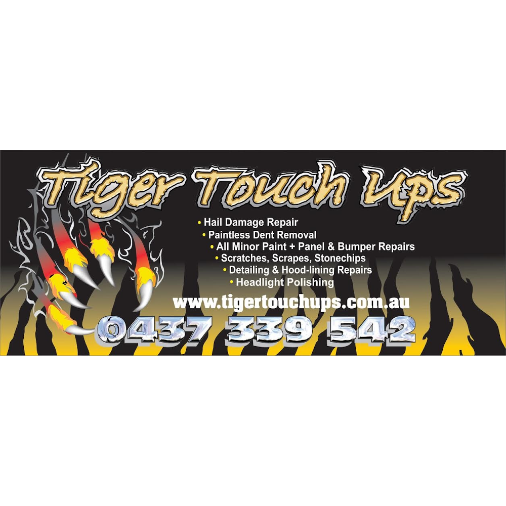 Tiger Touch Ups | car repair | 188B Boat Harbour Dr, Pialba QLD 4655, Australia | 0437339542 OR +61 437 339 542