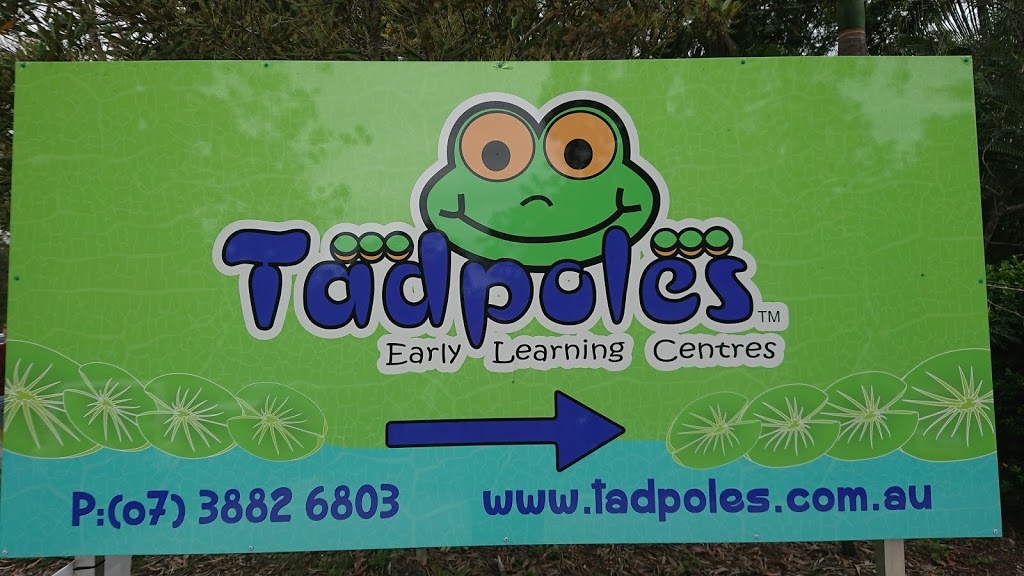 Tadpoles Early Learning Centre Cashmere | 2 Sarow Dr, Cashmere QLD 4500, Australia | Phone: (07) 3882 6803