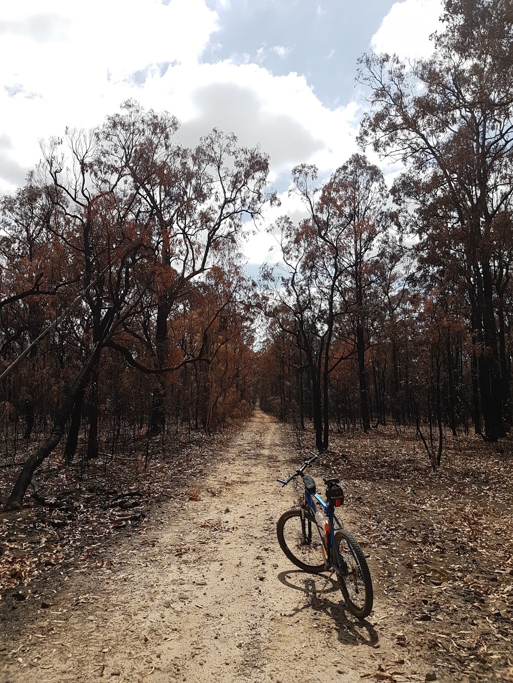 Castlereagh Nature Reserve | Berkshire Park NSW 2765, Australia