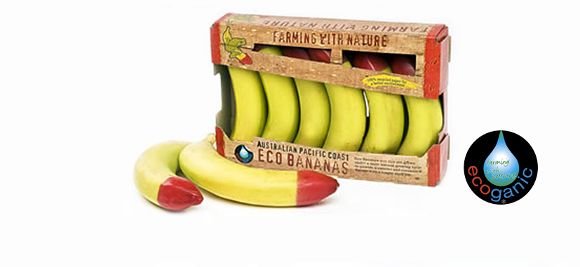 Pacific Coast Eco Bananas | food | 228 Boogan Rd, Boogan QLD 4871, Australia | 0740642452 OR +61 7 4064 2452