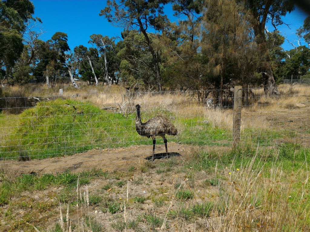 Graham Husson Fauna Park | park | Portland VIC 3305, Australia