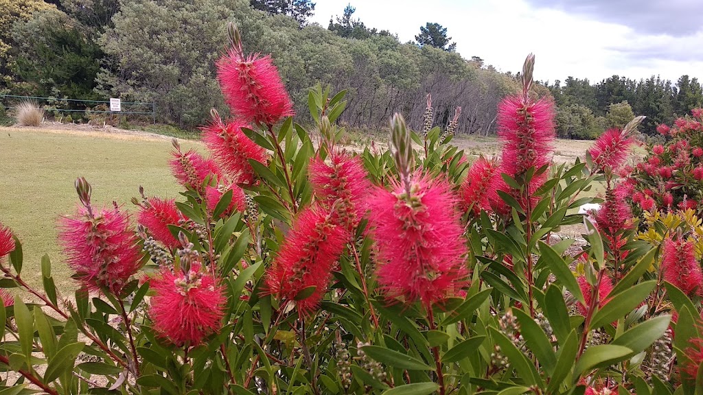 Llanherne Golf Club | 132 Surf Rd, Seven Mile Beach TAS 7170, Australia | Phone: (03) 6248 7711