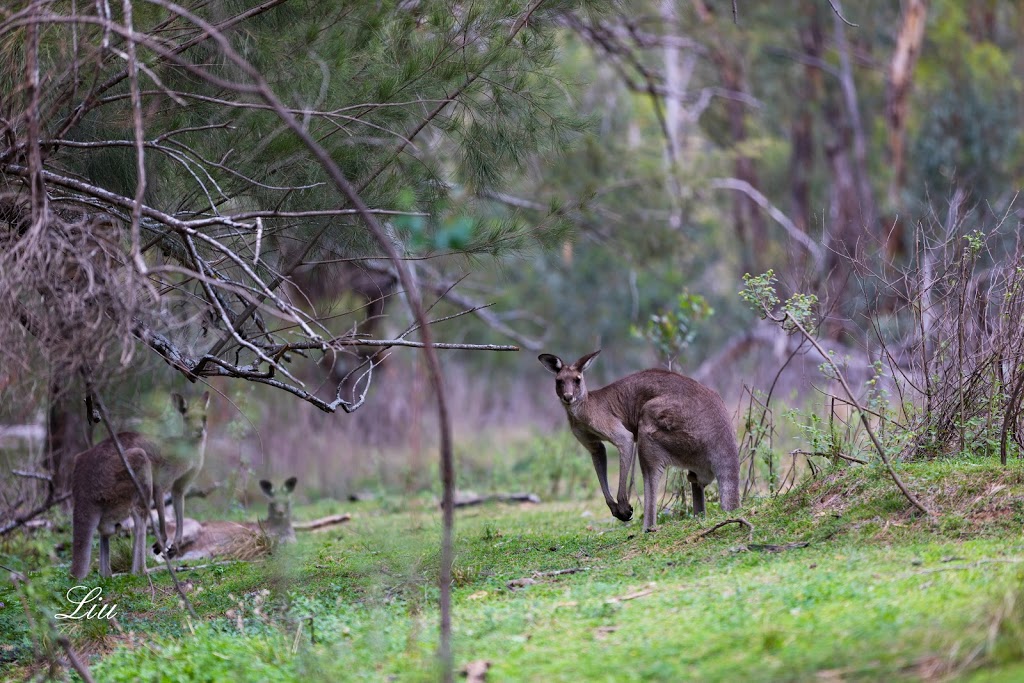 Warrumbungle National Park | Warrumbungle NSW 2828, Australia