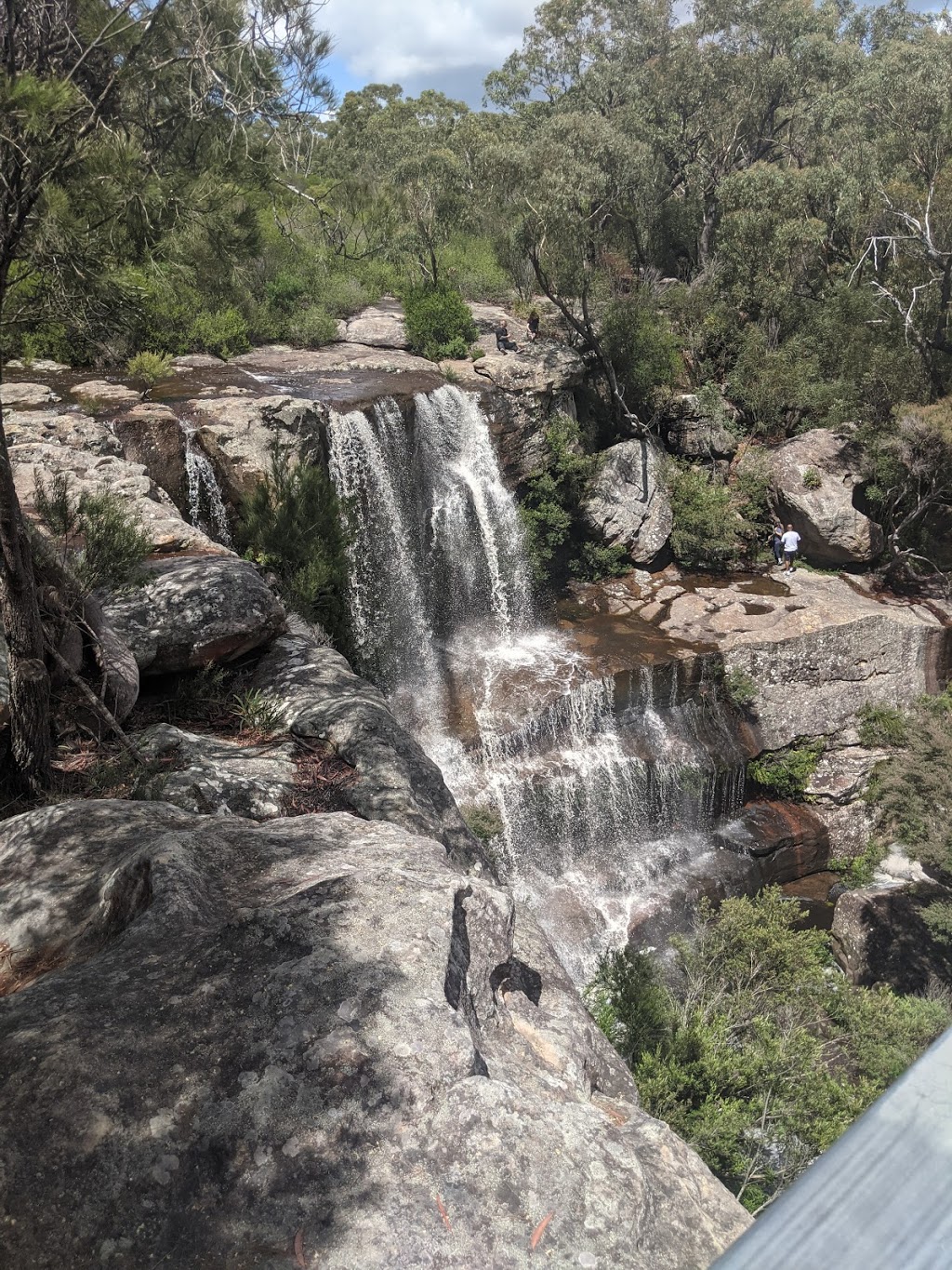 Darkes Cider | 259 Darkes Forest Rd, Darkes Forest NSW 2508, Australia | Phone: (02) 4294 3421