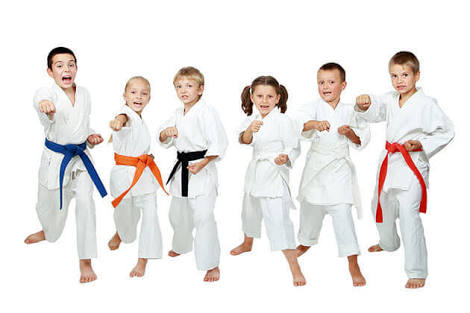 Mugendokan Martial Arts - Werrington | health | Public School Hall, 2a John Batman Ave, Werrington County NSW 2474, Australia | 0490508365 OR +61 490 508 365