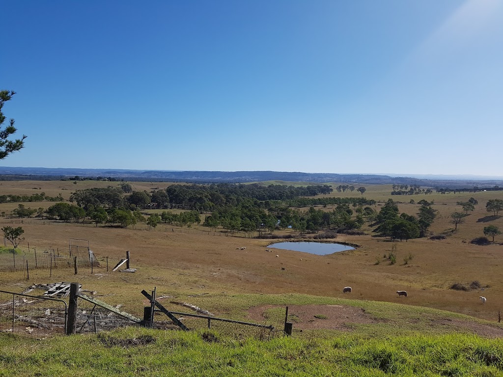 Mt Britain Horse Agistment | Wilton Rd, Appin NSW 2560, Australia | Phone: 0412 789 652