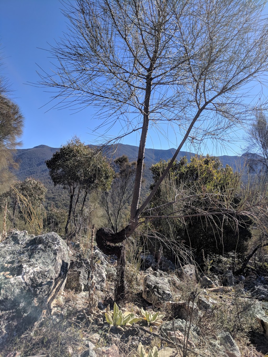 Tidbinbilla Lookout | Paddys River ACT 2620, Australia