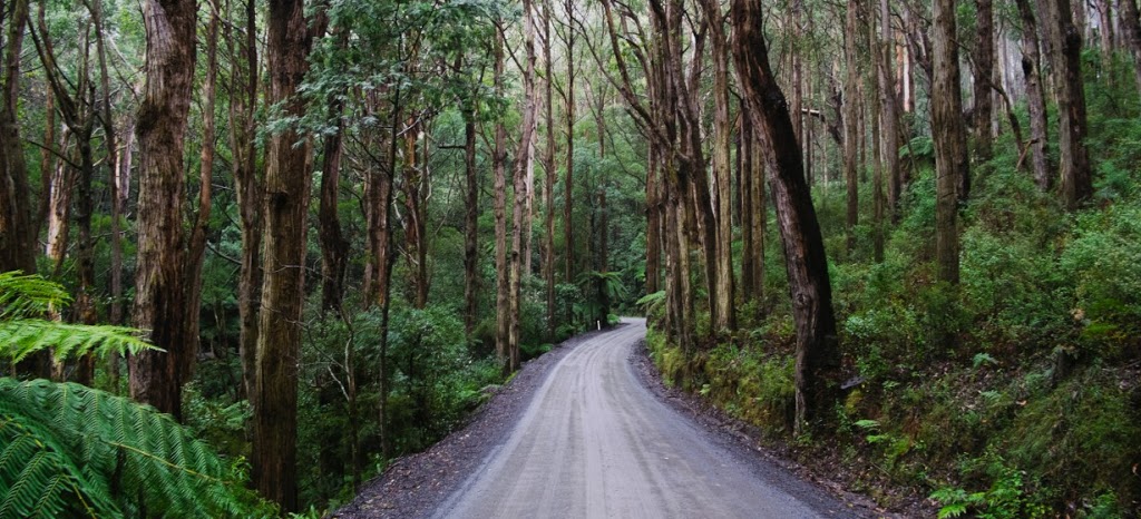 Shorelec Electrical Wholesalers Pty Ltd. | 4/2 Old Lilydale Rd, Healesville VIC 3777, Australia | Phone: (03) 5962 6500