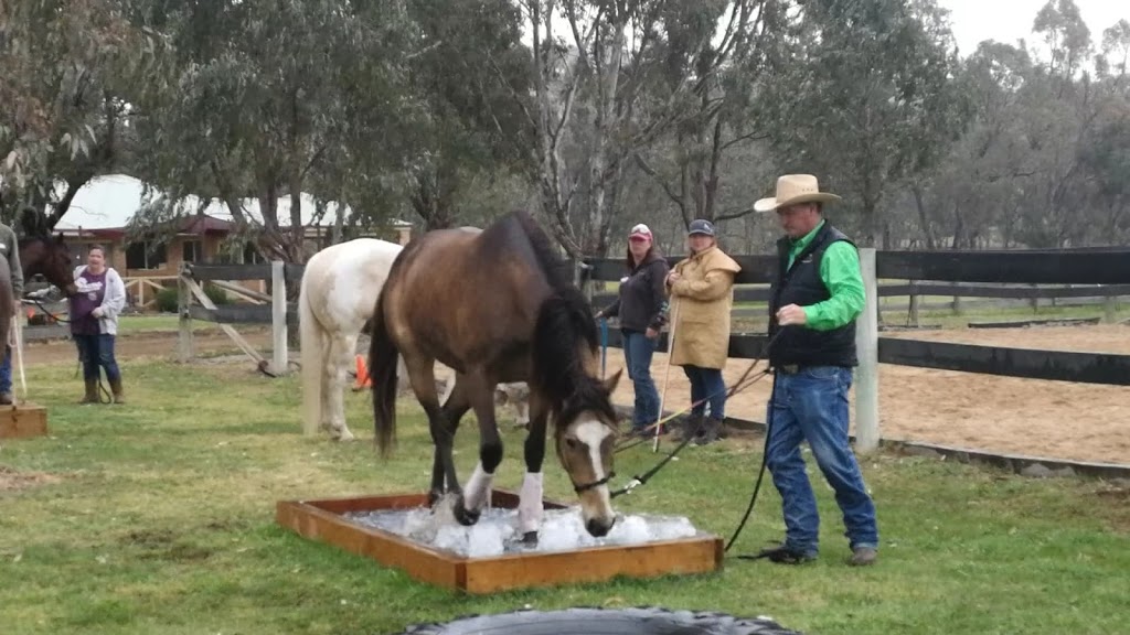 Mark Jones Training Stables | 420 Tschampions Rd, Macclesfield VIC 3782, Australia | Phone: 0448 001 547