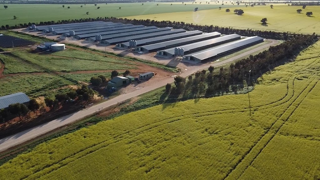 ProTen Farm 70 | 347H+3P, Rankins Springs NSW 2669, Australia | Phone: 0498 766 997