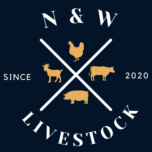 N & W Livestock | 11 Whites Rd, Glenorie NSW 2157, Australia | Phone: 0499 047 879