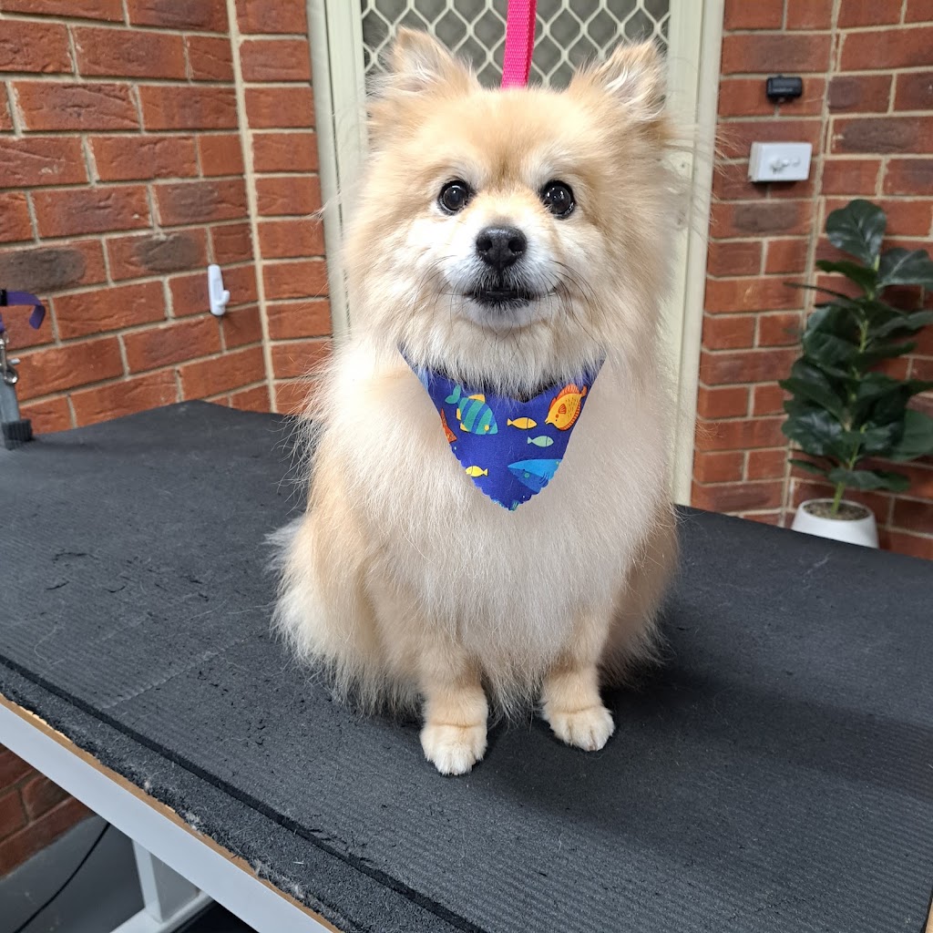 Pawlenes Pooches | 14 Little Chipping Dr, Chirnside Park VIC 3116, Australia | Phone: 0493 729 636