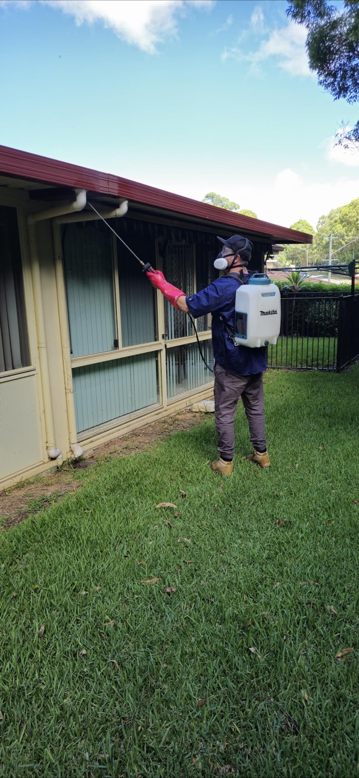 Biteless Pest Control | Kangaroo Flat VIC 3555, Australia | Phone: (03) 5446 8540