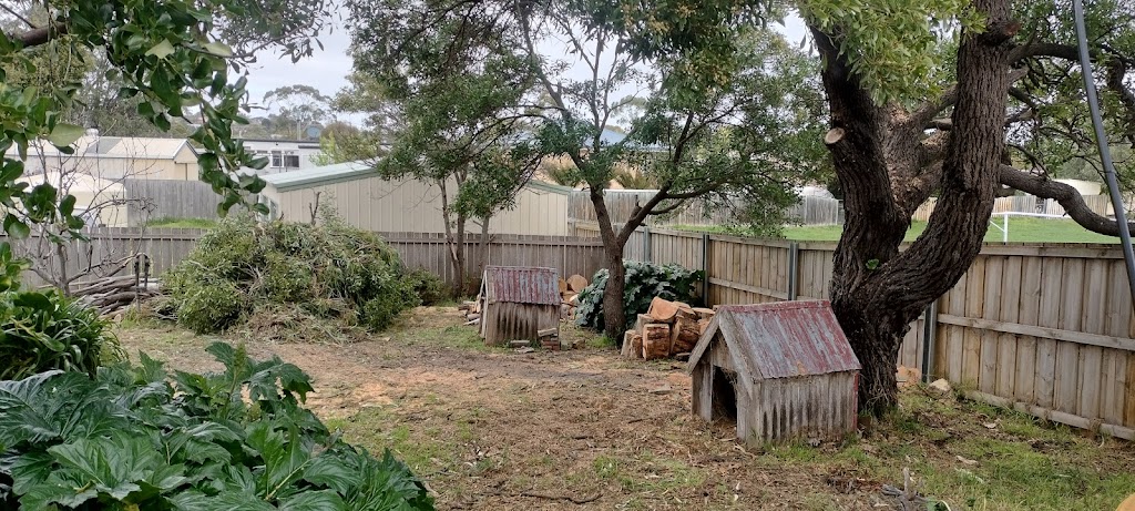 ASAP Arborist | 299 Millvale Rd, Dromedary TAS 7030, Australia | Phone: 0430 682 039