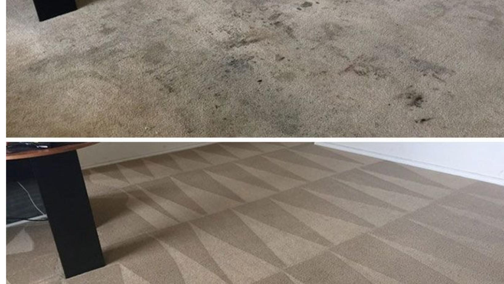 Micks Carpet Cleaning Melbourne | 422 Collins St, Docklands VIC 3008, Australia | Phone: 03 4050 7972