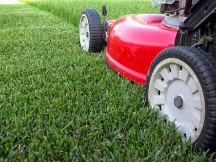 Perth Lawn Maintenance | 69 Marlinspike Bvd, Jindalee WA 6036, Australia | Phone: 0432 222 057