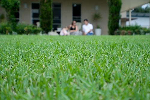 StrathAyr Instant Lawn | 88 Ekberg Rd, Seymour VIC 3661, Australia | Phone: (03) 5735 4122